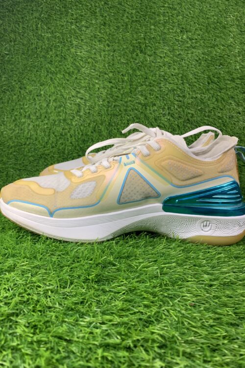 Peak Taichi running shoes